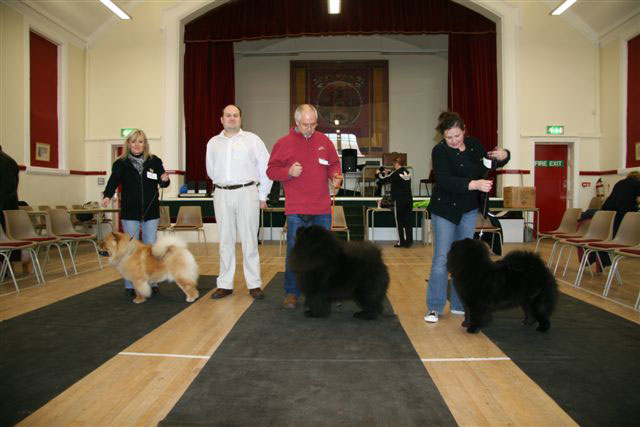 North Eastern Chow Chow Club