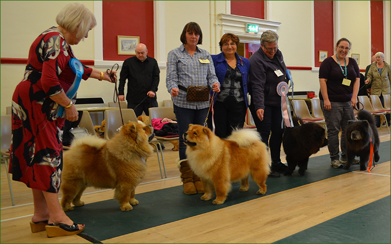 North Eastern Chow Chow Club