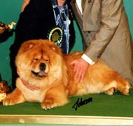 North Eastern Chow Chow Club