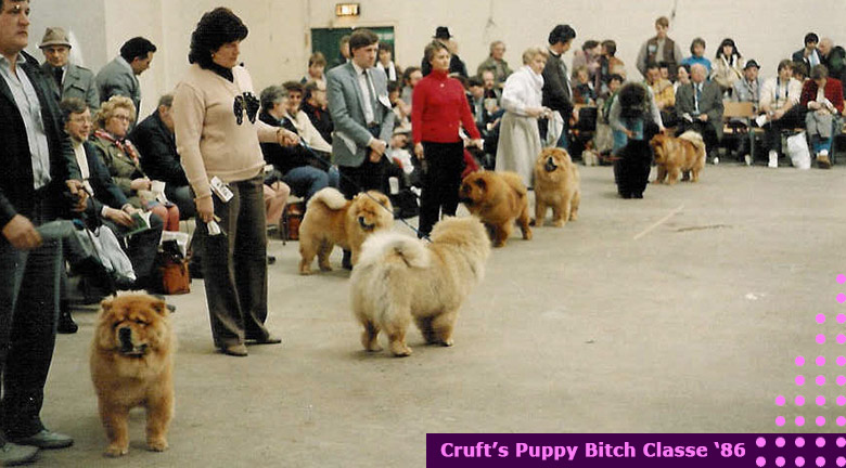 North Eastern Chow Chow Club