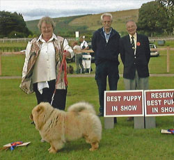 North Eastern Chow Chow Club