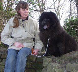 North Eastern Chow Chow Club